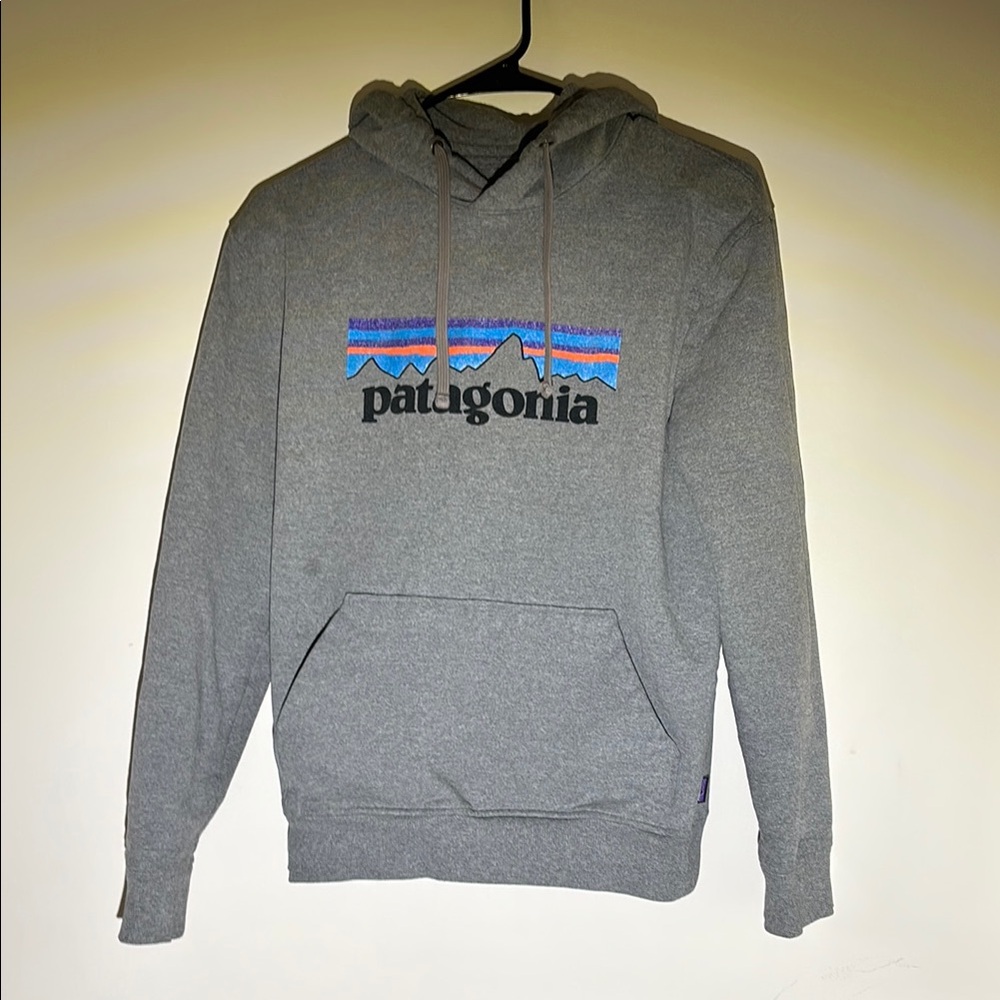 Patagonia Gray Men's Hoodie Sweatshirt